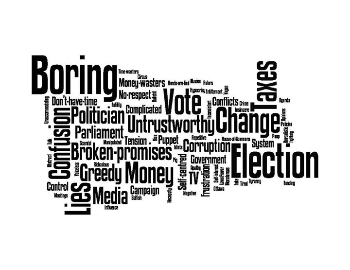 রাজনীতিতে কিভাবে অংশ নেবেন? | how will you take part in politics