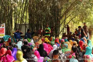 পেশা পরামর্শ সভার আওয়ায় সেলাই প্রশিক্ষণের সমাপনী অনুষ্ঠান। মাজগ্রাম, শিলাইদহ ইউনিয়ন, কুমারখালী।