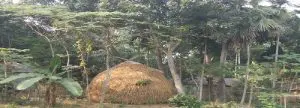 radhanagar village ধন ধান্য পুষ্প ভরা, আমাদের এই বসুন্ধরা [ গানের বানী ] অসুরের সুরলোকযাত্রা সিরিজ