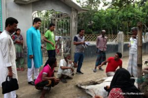 সুফি ফরুক এর গণসংযোগ পান্টি ইউনিয়ন খোদ্দ ভালুকা গোদের বাজার ও চরকেষ্টপুর 23 সুফি ফরুক এর গণসংযোগ, পান্টি ইউনিয়ন, খোদ্দ ভালুকা, গোদের বাজার ও চরকেষ্টপুর (23)