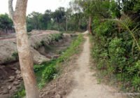 সুফি ফরুক এর গণসংযোগ পান্টি ইউনিয়ন খোদ্দ ভালুকা গোদের বাজার ও চরকেষ্টপুর 29 কুমারখালীর খোদ্দ ভালুকা, গোদের বাজার ও চরকেষ্টপুর গ্রামে সুফি ফারুকের গণসংযোগ