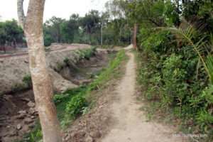 সুফি ফরুক এর গণসংযোগ পান্টি ইউনিয়ন খোদ্দ ভালুকা গোদের বাজার ও চরকেষ্টপুর 29 সুফি ফরুক এর গণসংযোগ, পান্টি ইউনিয়ন, খোদ্দ ভালুকা, গোদের বাজার ও চরকেষ্টপুর (29)