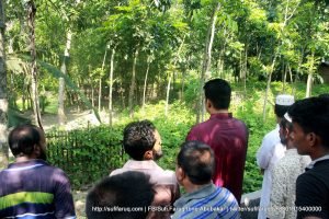 Hannan er Poribar er Shathe Dekha o kobor jiyarot Mulgram Panti 6 দক্ষিন মূলগ্রাম - ১০ নং পান্টি ইউনিয়ন, কুমারখালী, কুষ্টিয়া