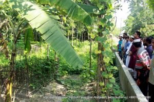Hannan er Poribar er Shathe Dekha o kobor jiyarot Mulgram Panti 8 দক্ষিন মূলগ্রাম - ১০ নং পান্টি ইউনিয়ন, কুমারখালী, কুষ্টিয়া
