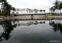 আলাউদ্দিন নগর গ্রাম