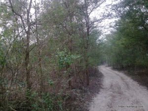 খড়ের বাগান, নন্দলালপুর ইউনিয়ন, কুমারখালী, কুষ্টিয়া, বাংলাদেশ