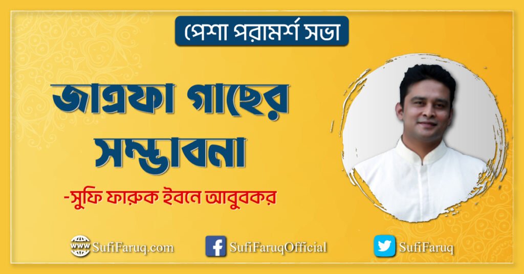 জাত্রফা গাছের সম্ভাবনা জাত্রফা গাছের সম্ভাবনা । কৃষি । পেশা পরামর্শ সভা 1 জাত্রফা গাছের সম্ভাবনা